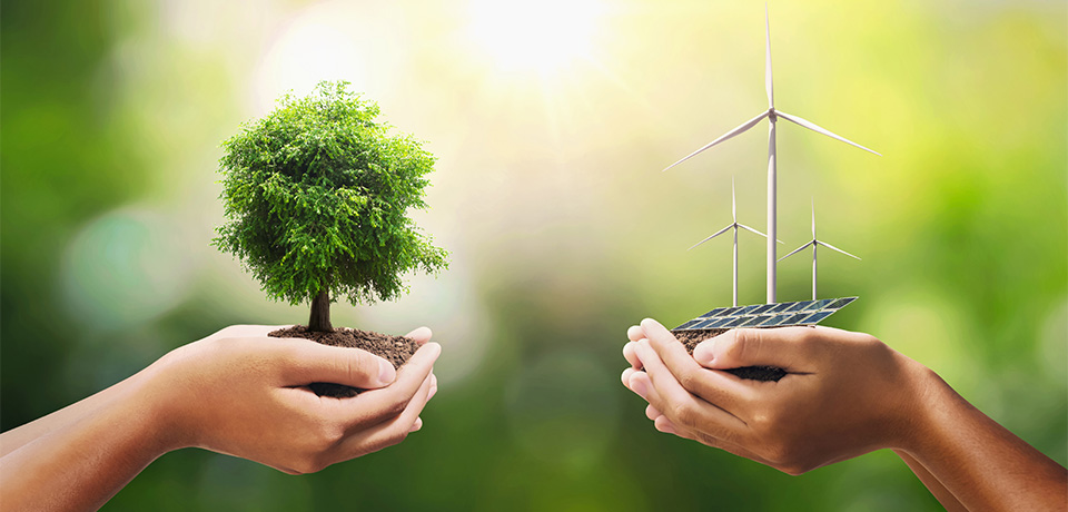 Yenilenebilir Enerji Neden Geleceğin En Önemli Yatırımlarından Biri?
